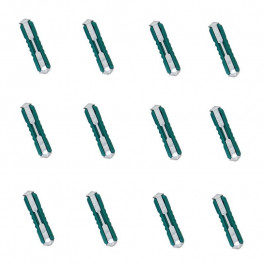 Jeu de 12 fusibles Steatite 10 Ampères