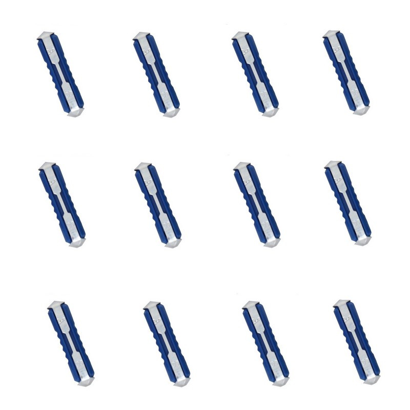 Jeu de 12 fusibles Steatite 8 Ampères
