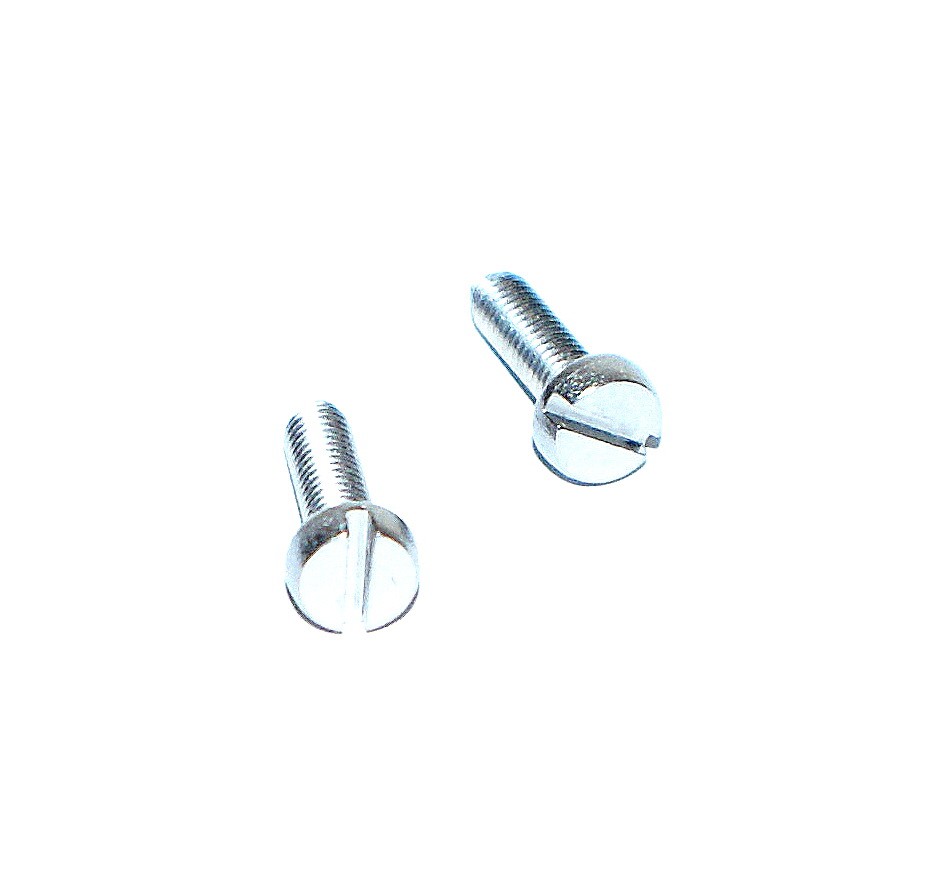 Jeu de 2 vis inox pour feux standard 62 mm DASTERI
