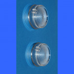 Jeu de 2 cabochons pour feux avant de RENAULT R8