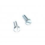 Jeu de 2 vis inox pour feux standard 62 mm DASTERI